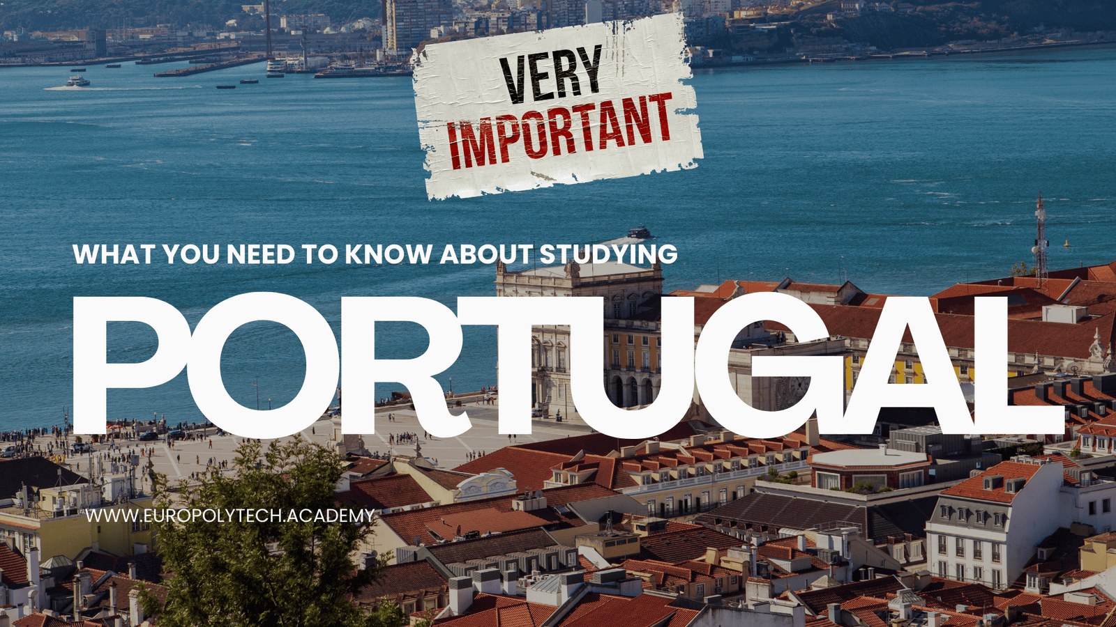 Why EuroPolytech Currently Offers Only Short-Term Programmes for International Students?